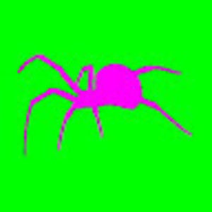 Meet your Posher, Stephenn